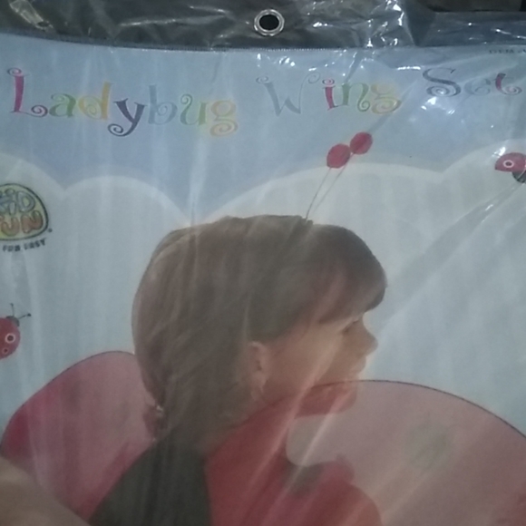 Ladybug wings set - Picture 6 of 6